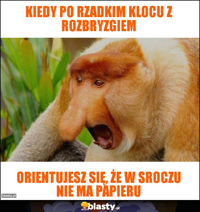 KIEDY PO RZADKIM KLOCU Z ROZBRYZGIEM