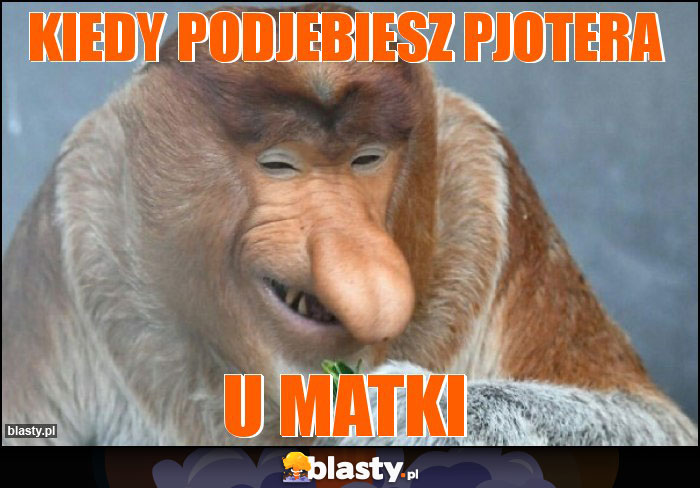 Kiedy podjebiesz Pjotera