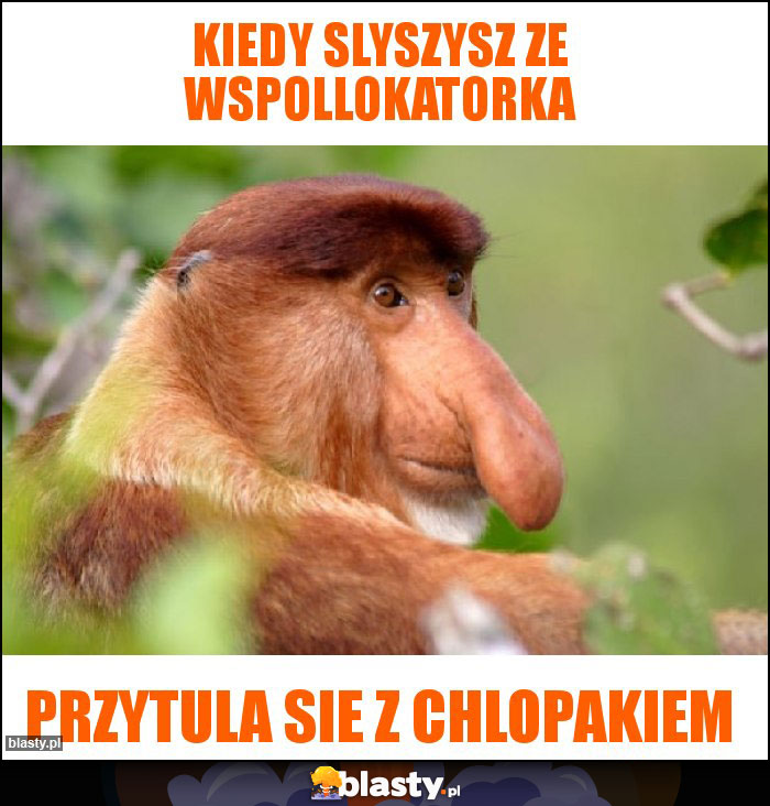 kiedy slyszysz ze wspollokatorka