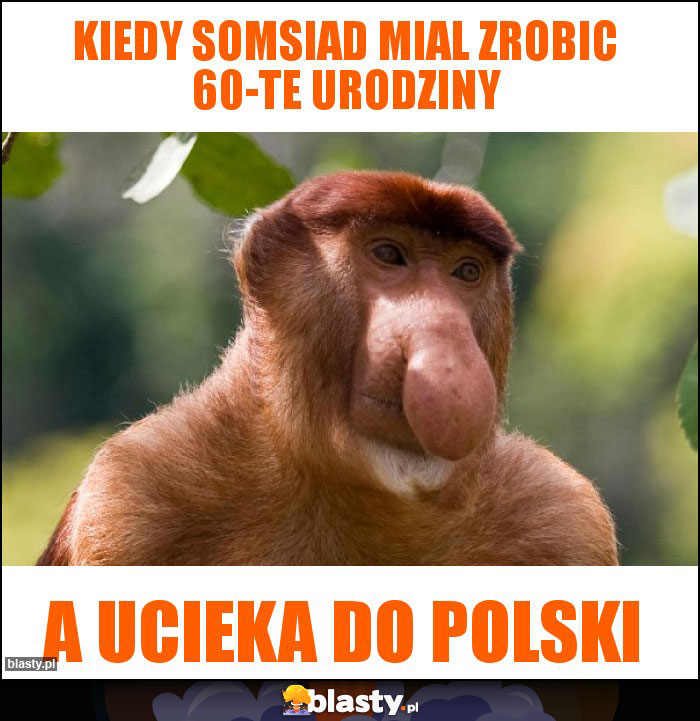 Kiedy somsiad mial zrobic 60-te urodziny