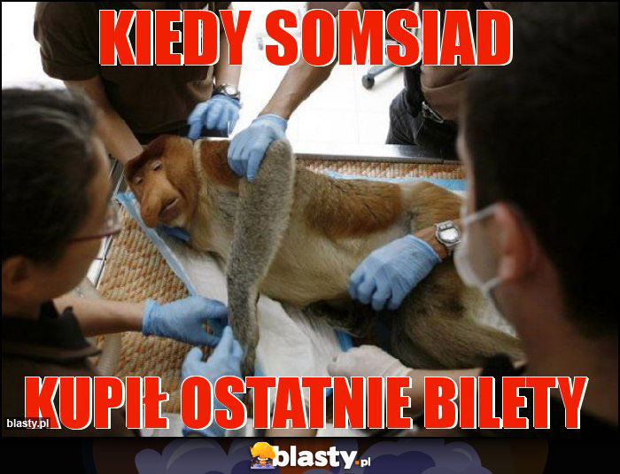 KIEDY SOMSIAD