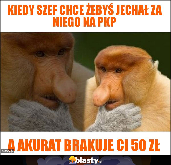 Kiedy szef chce żebyś jechał za niego na pkp