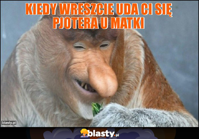 Kiedy wreszcie uda Ci się Pjotera u matki