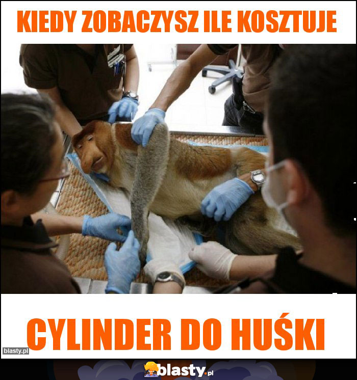 Kiedy zobaczysz ile kosztuje