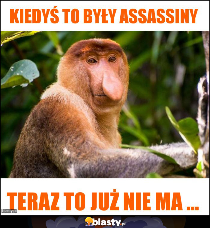 Kiedyś to były Assassiny