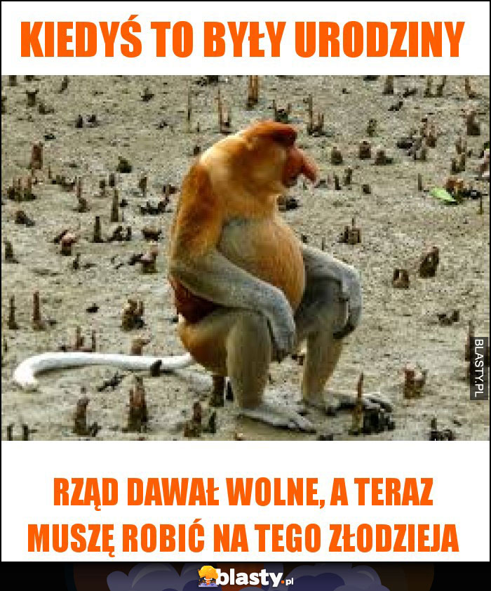 kiedyś to były urodziny