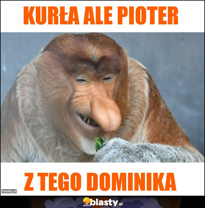 Kurła ale pioter