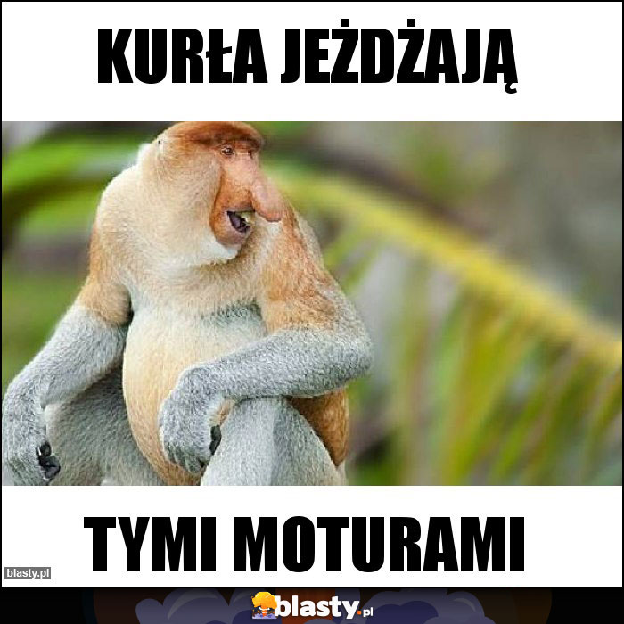 Kurła jeżdżają