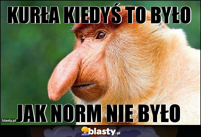 Kurła kiedyś to było