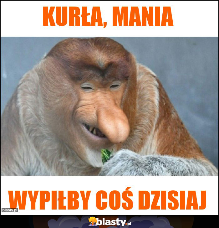 KURŁA, mANIA
