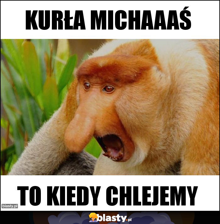 Kurła michaaaś