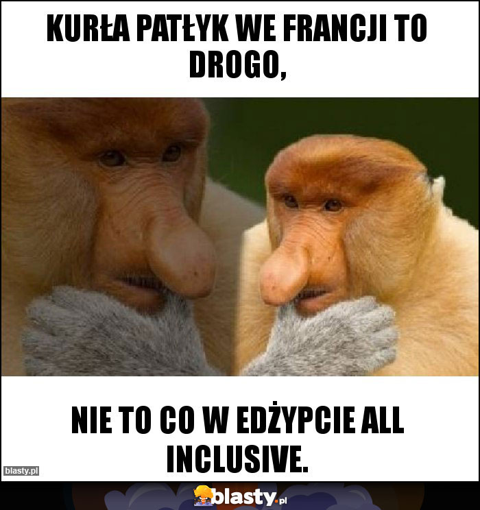 Kurła Patłyk we Francji to drogo,