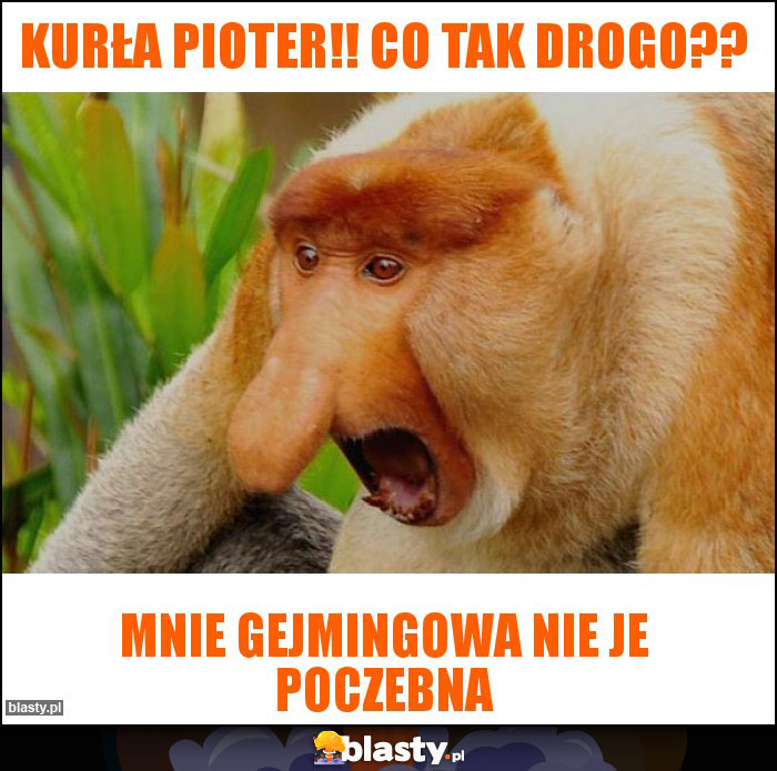 Kurła Pioter!! Co tak drogo??