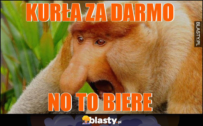 Kurła Za Darmo