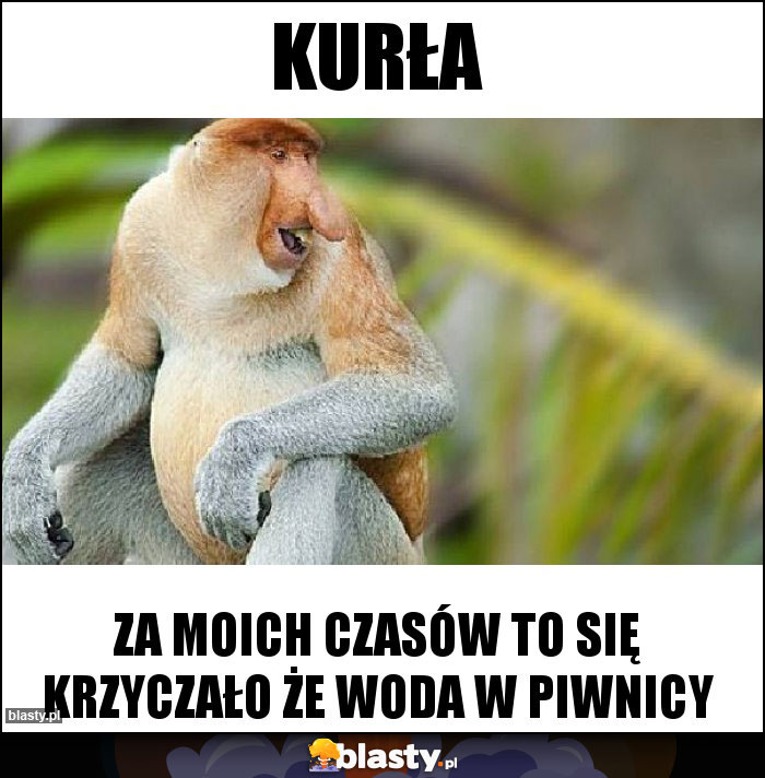 Kurła