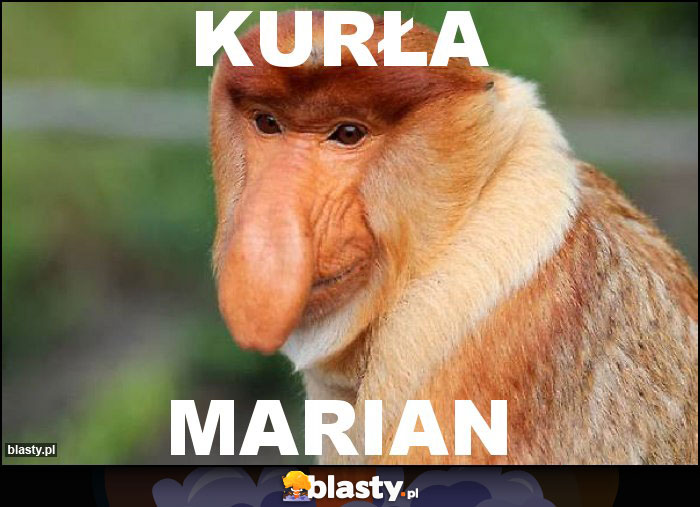 KURŁA