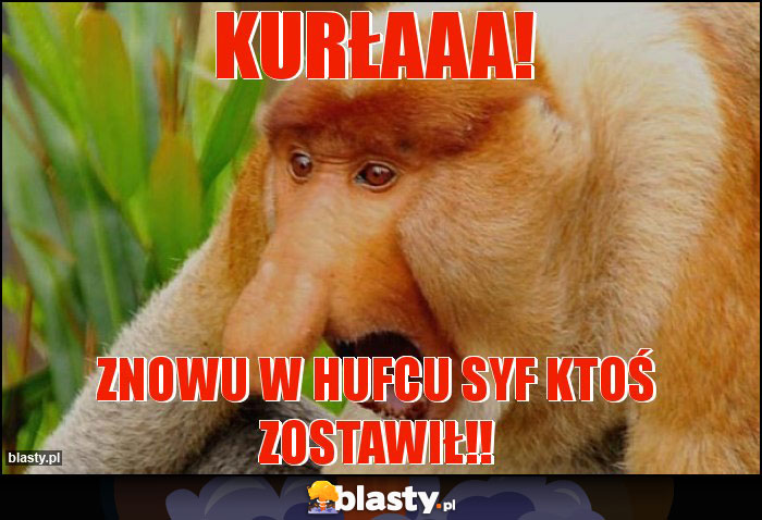Kurłaaa!