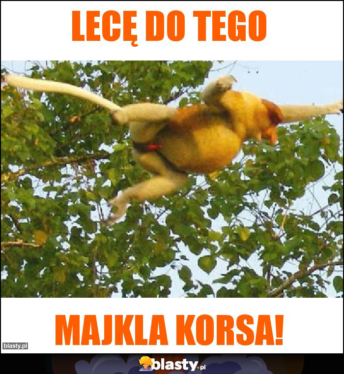 Lecę do tego
