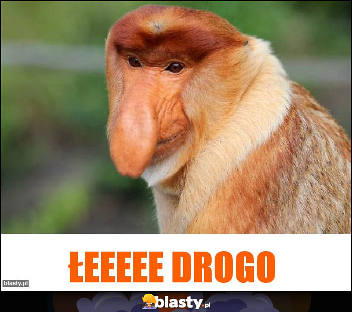 Łeeeee drogo