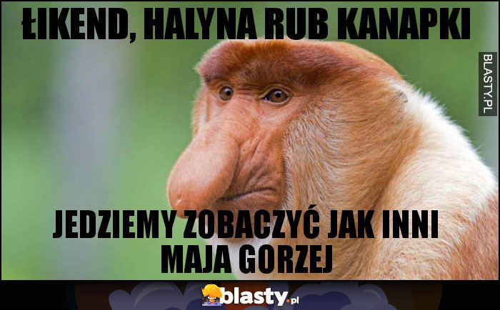 łikend, halyna rub kanapki