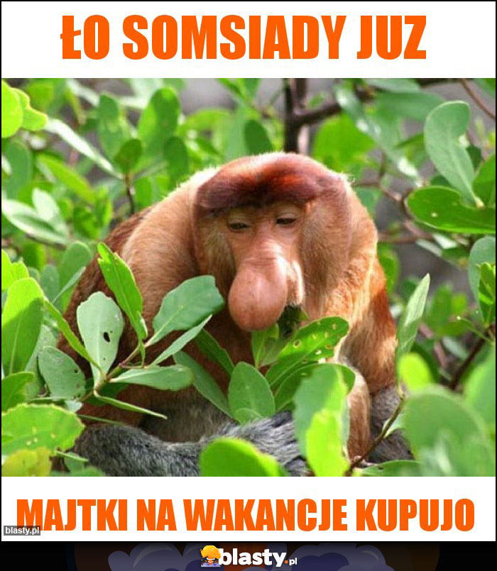 Ło somsiady juz