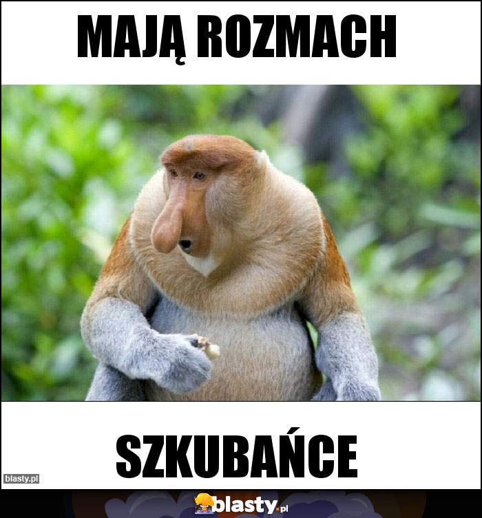 Mają rozmach