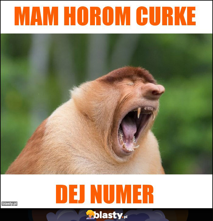 Mam horom curke