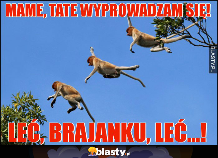 Mame, tate wyprowadzam się!
