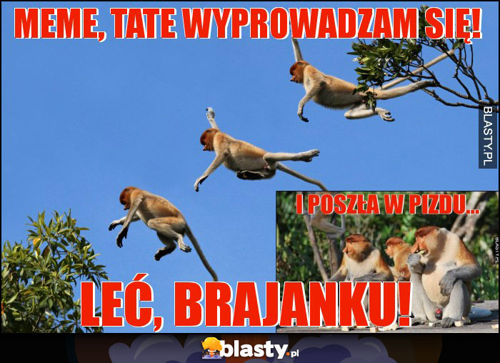 Meme, tate wyprowadzam się!