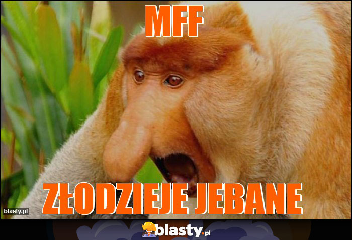 MFF
