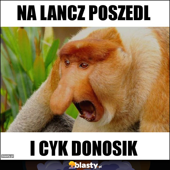 Na lancz poszedl
