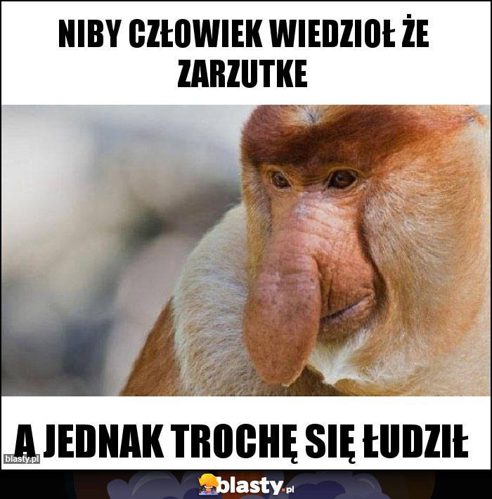 Niby człowiek wiedzioł że zarzutke