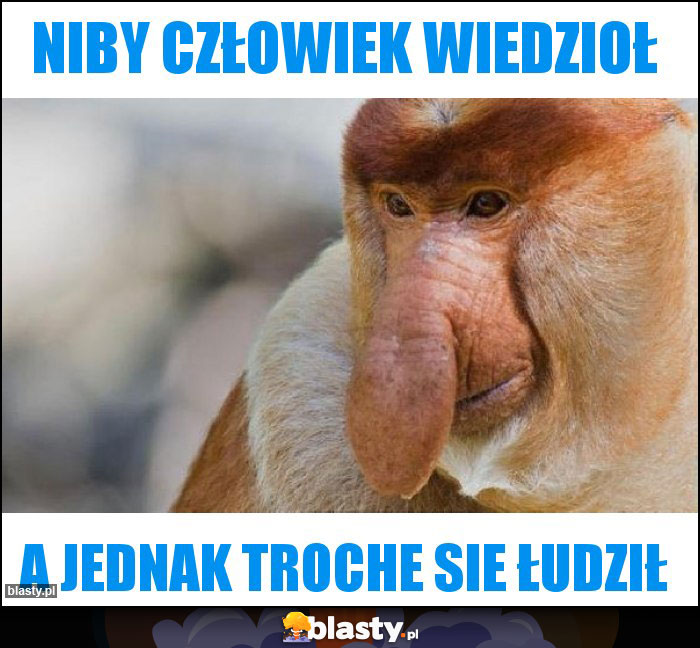 Niby człowiek wiedzioł