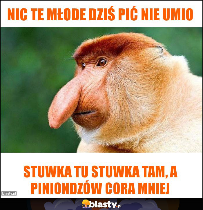 Nic te młode dziś pić nie umio