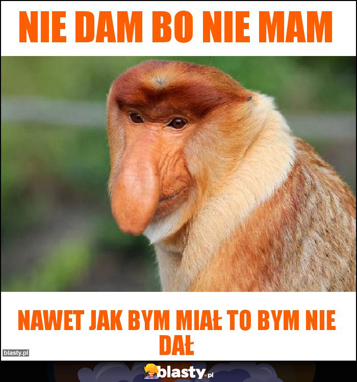 Nie dam bo nie mam