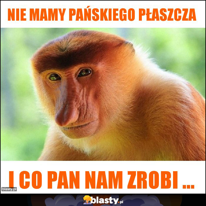 Nie mamy pańskiego płaszcza
