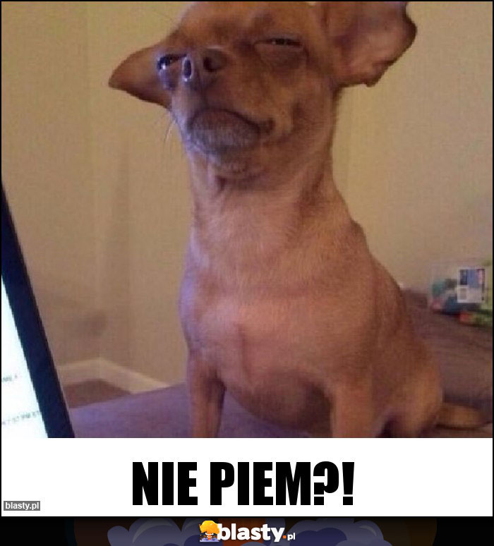 NIE PIEM?!