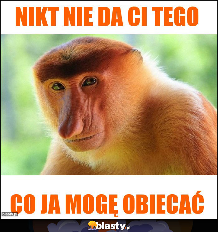 nikt nie da ci tego