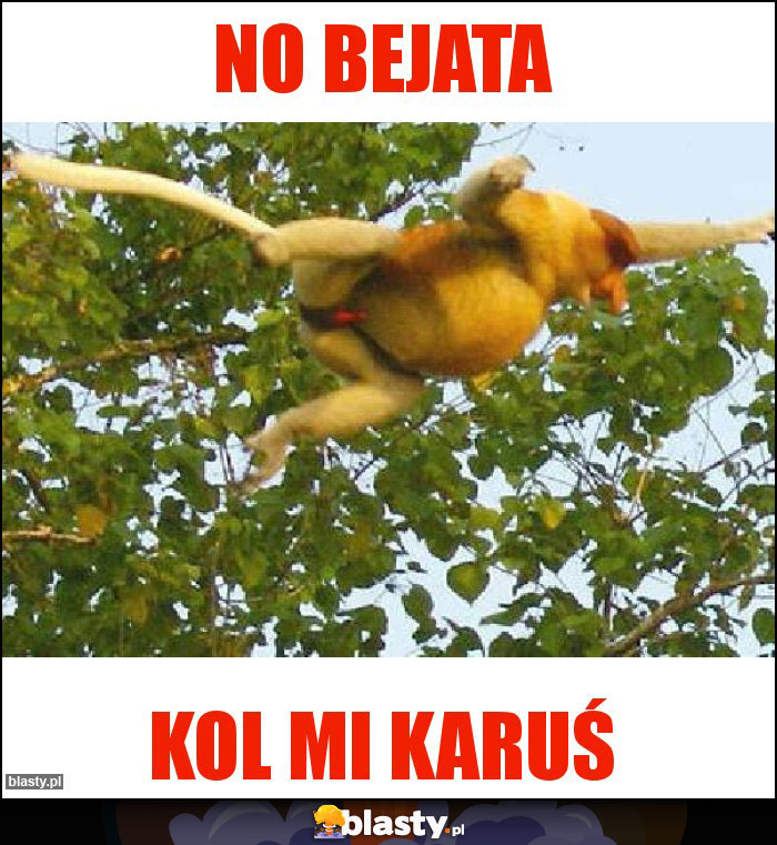 No Bejata