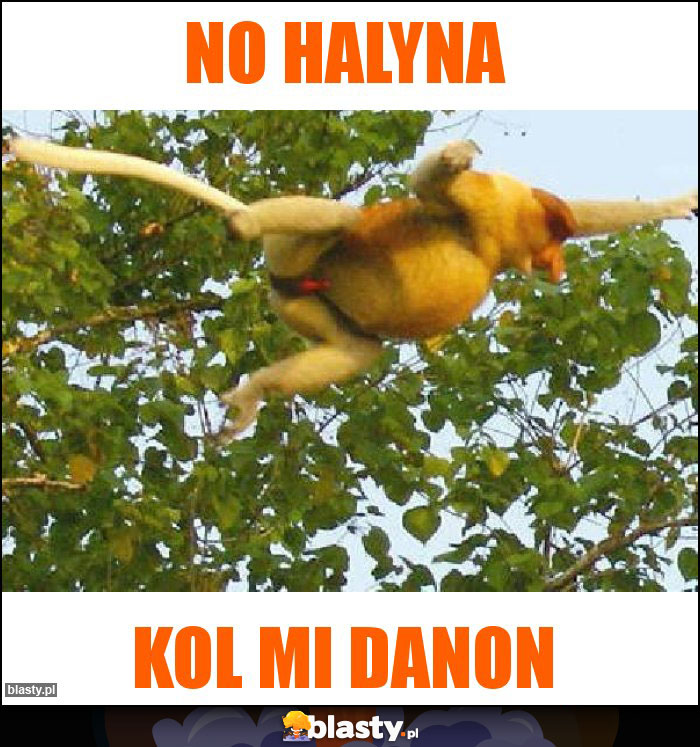 no halyna