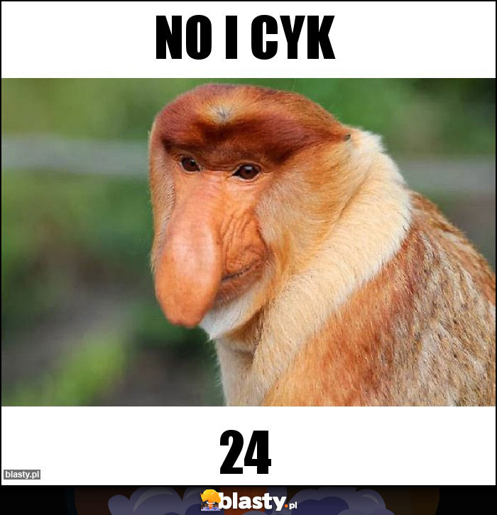 No i cyk
