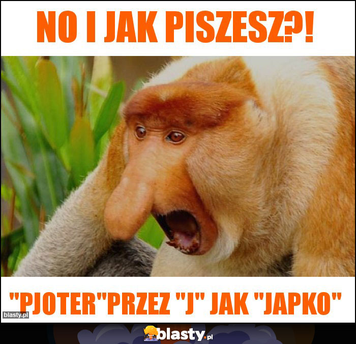 No i jak piszesz?!