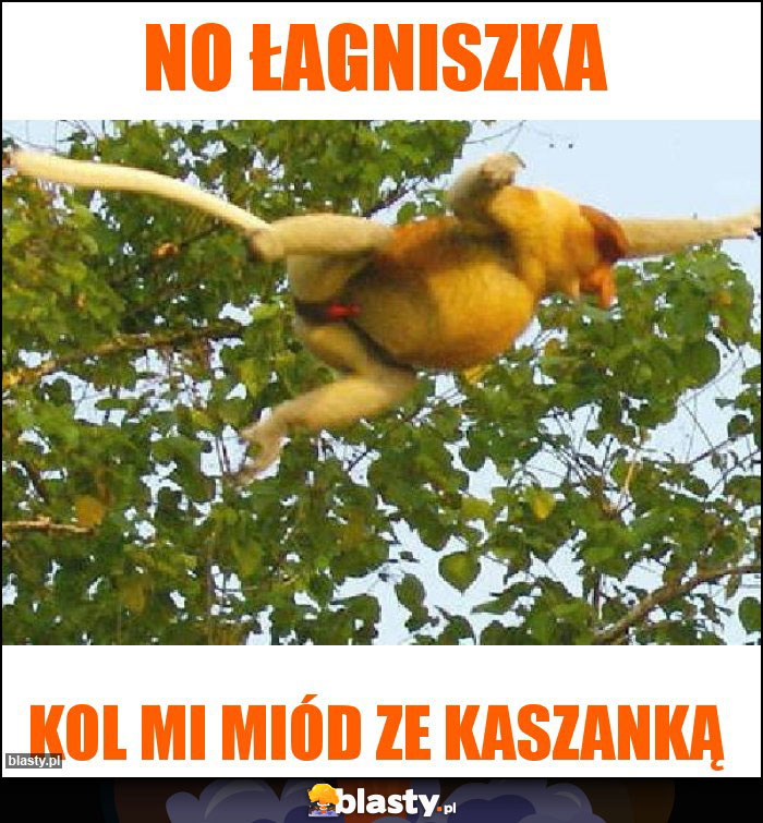 No Łagniszka