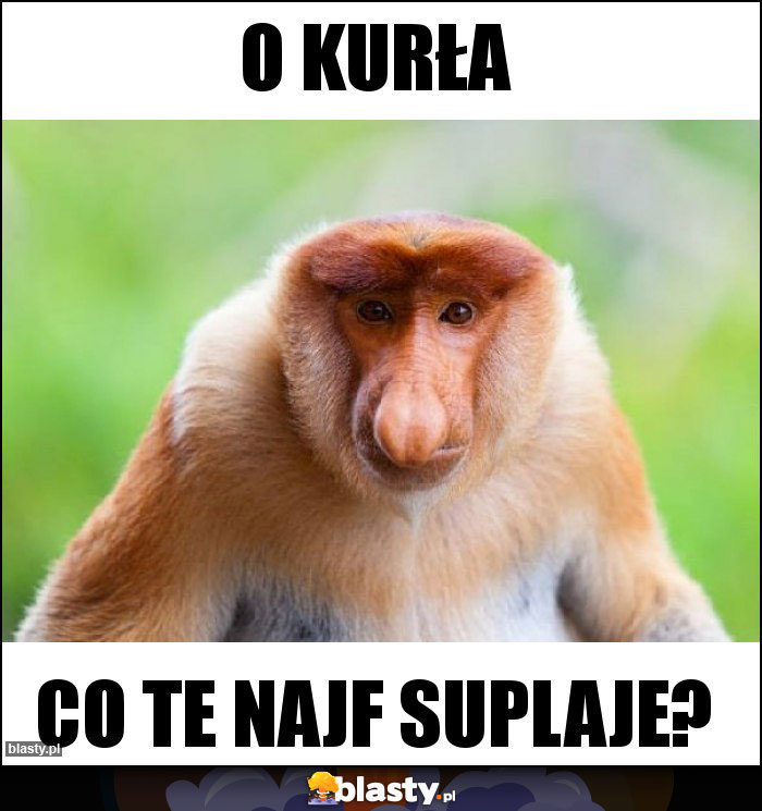 O KURŁA