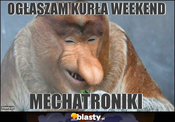 Ogłaszam kurŁa Weekend