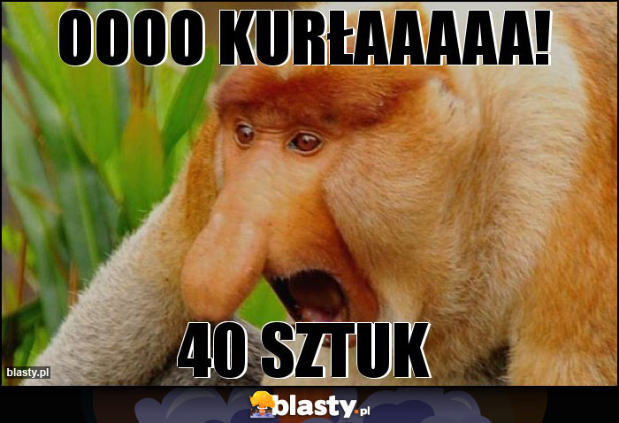 Oooo kurłaaaaa!