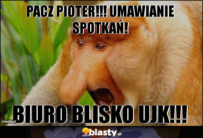 PACZ PIOTER!!! UMAWIANIE SPOTKAŃ!