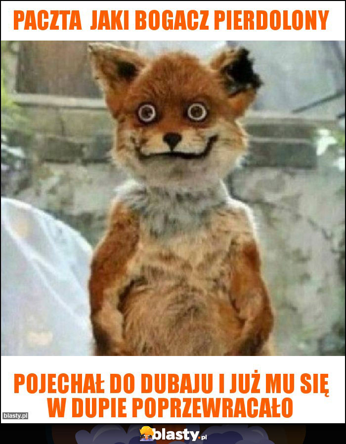 Paczta  jaki bogacz pierdolony