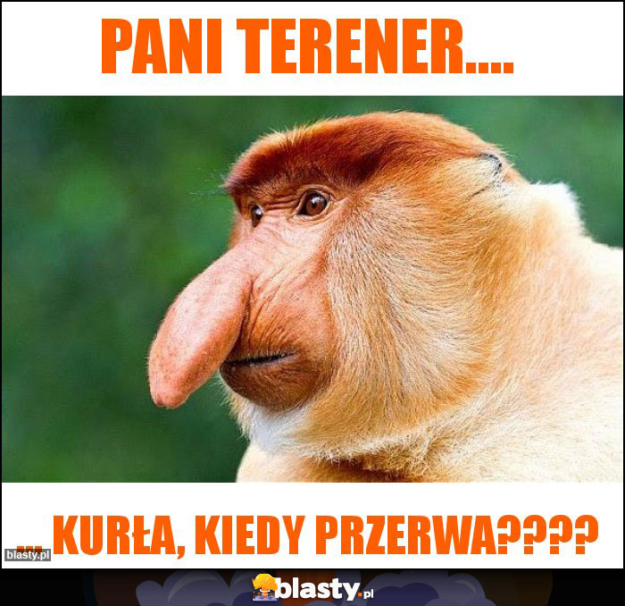 Pani Terener....