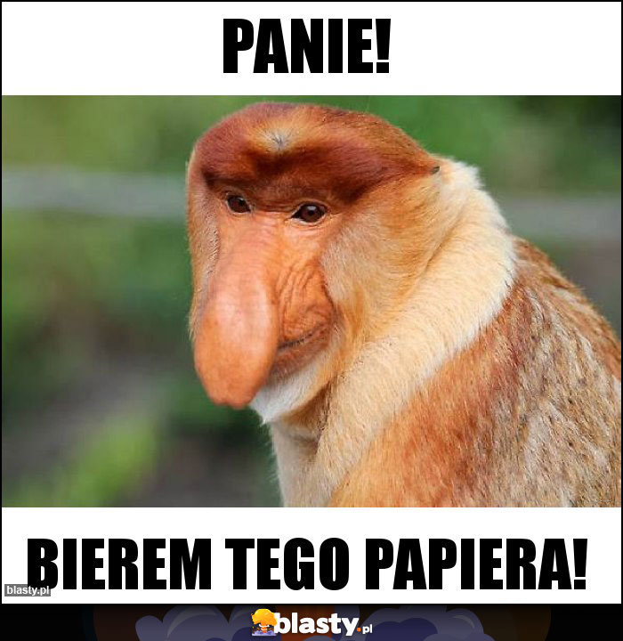 Panie!